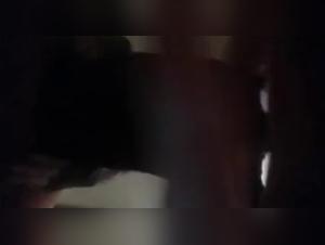 Zoophilia video: A woman and her dog