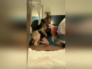 Extreme fantasies with a dog in a motel