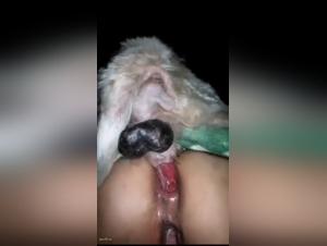 Forbidden Fantasy: Feline Allure