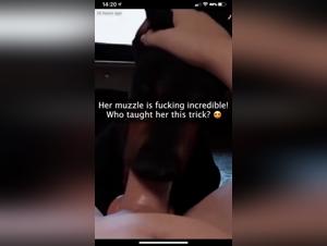 dog submissive to female