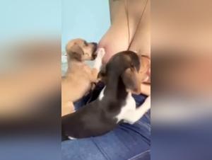 Schockierendes Video: eine Frau und ihr Hund