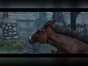 Tekla - Secret Love - pt.1 (Bestiality Version) - A unique and intense experience