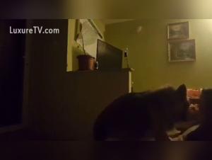 Teenage girl and her dog: a beastly and extreme video