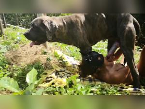 Sexualidad animal y sexo salado en video porno