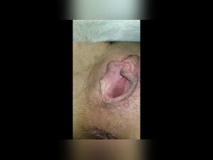 Squeekerz: The Best of Bestiality Sex