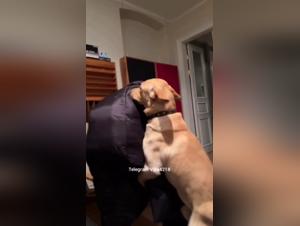 passion between human and animal