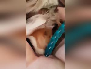 Forbidden Meeting: Woman and Dog