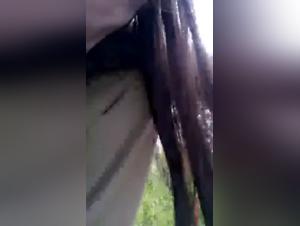 Intimate Video: Man and Dog - Extreme Bestiality