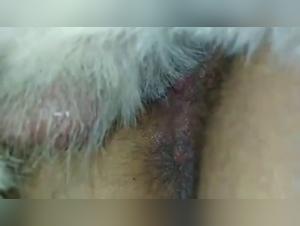 GF and her first canine date: a beastly experience