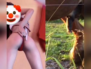 Zoophile collage with a woman and a horse