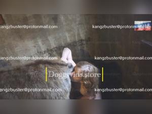 Submissive blonde and horse: a unique bestiality video