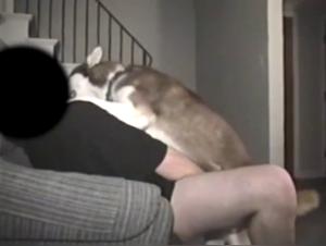 Intimate Video with a Dog