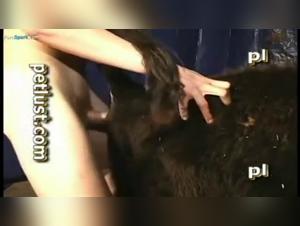 Compilation of bestiality sex videos with animals