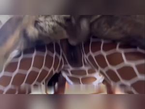 Videos de lesbianas que fecultan a su perro: una pasion por la zoofilia