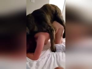 Redhead woman in a threesome with her dog