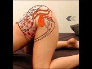 Amateur Videos: Bestiality and Sex with Dogs