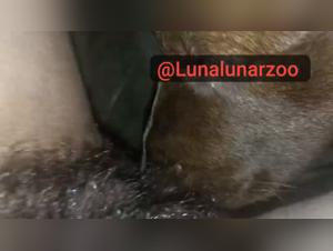 Forbidden Desires: Exploring Zoophilia