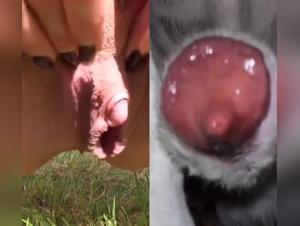 Mujer madura y perro: una escena de intensa bestialidad