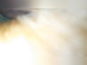 woman and dog forbidden