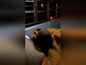 Woman and dog: a forbidden love story