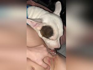 explorar los limites del kink