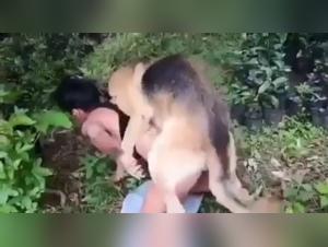 Naughty encounter in the forest: an exciting bestiality sex video