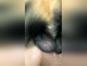 Bestiality: A teenager and a dog