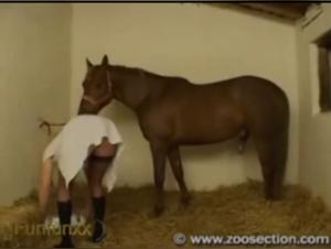 Blonde woman and horse: an exciting zoophilia video