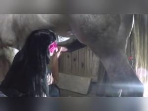 Forbidden Meeting: Woman and Horse