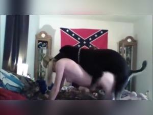 Bestiality with Horses: Extreme Videos