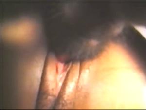 Sex with a dog: a beginner Brazilian woman