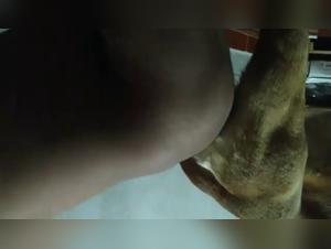 A liberated woman's animal sex story that will leave you breathless