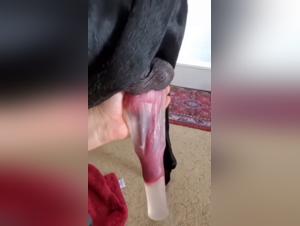 l'arte dell'intimita animale