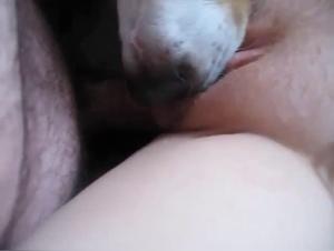 Video of Sex with a Dog