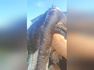 Unveiling the Forbidden