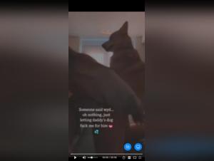 Sex with a dog: a beastly and extreme experience