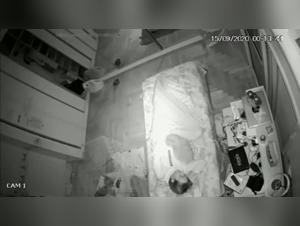 Zoophilia Video: Man and Dog in an Intimate Relationship