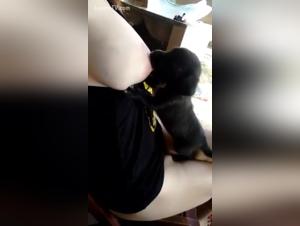 Extreme Puppy Feeding: A Shocking Bestiality Experience