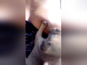 Woman Breastfeeding a Puppy - Hardcore Bestiality Video