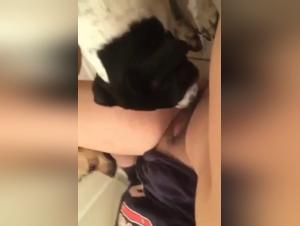 Dog sex video: a young girl and her dog in a hard scene