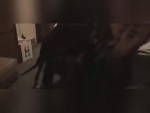 Bestiality: a woman and a dog in a shocking video