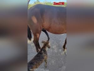 unveiling forbidden desires