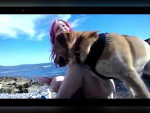 Bestiality Video: Dog Insists on Intimate Encounter