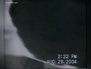 Woman and dog: a beastly encounter