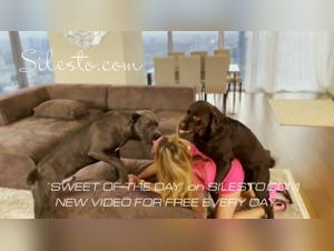 La fiesta salvaje de Veronica Silesto - Videos extremos de sexo animal