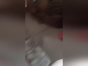 woman and dog zoo skool