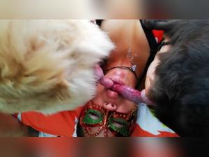 Extreme bestiality: a Latina gets sucked by two dogs