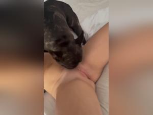 Bestiality sex videos with dogs