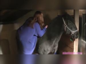 Femme et cheval : une scène de zoophilie intense