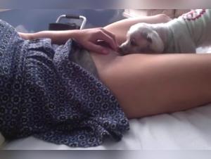 Bestiality sex video with an 18 year old woman and her dog